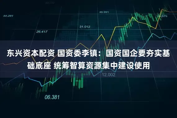 东兴资本配资 国资委李镇：国资国企要夯实基础底座 统筹智算资源集中建设使用