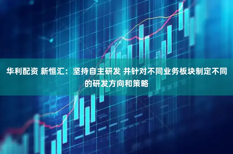 华利配资 新恒汇：坚持自主研发 并针对不同业务板块制定不同的研发方向和策略