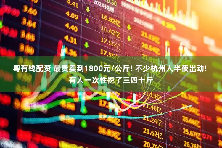 粤有钱配资 最贵卖到1800元/公斤! 不少杭州人半夜出动! 有人一次性挖了三四十斤