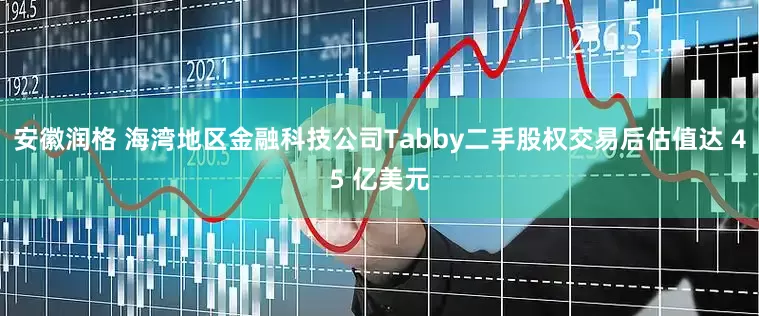 安徽润格 海湾地区金融科技公司Tabby二手股权交易后估值达 45 亿美元