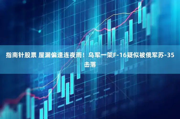 指南针股票 屋漏偏逢连夜雨！乌军一架F-16疑似被俄军苏-35击落